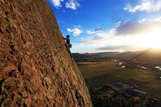 Pine Needle Mountaineering