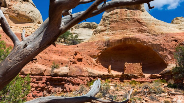 Cortez and Canyons of Ancients